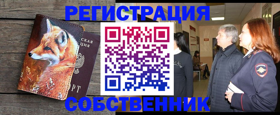 временная регистрация поиск в Череповце